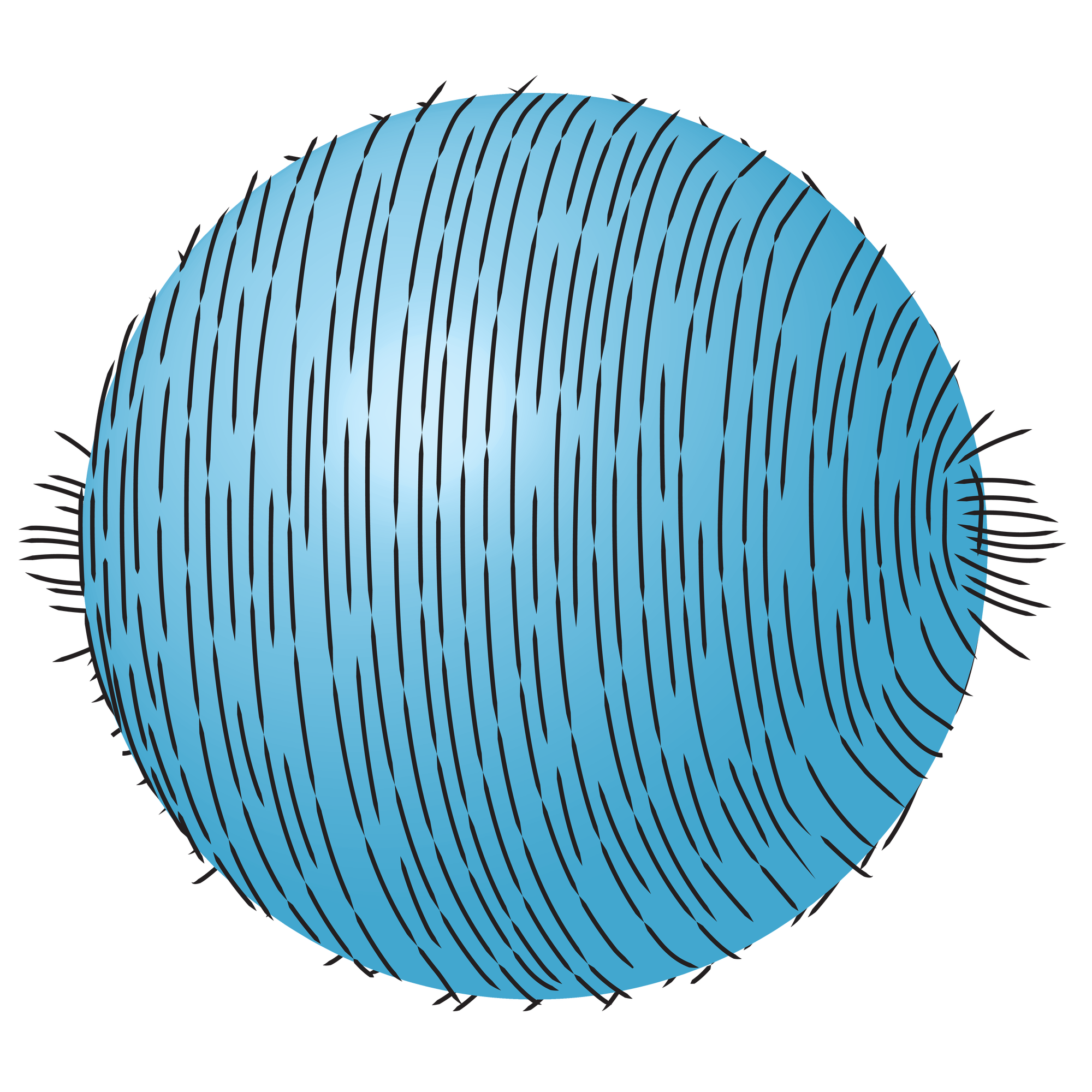Hairy Ball