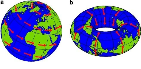 Hairy Ball and Hairy Torus